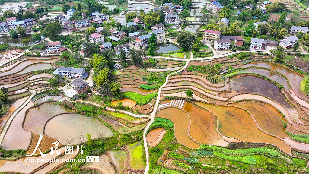 重庆：梯田美如画【5】