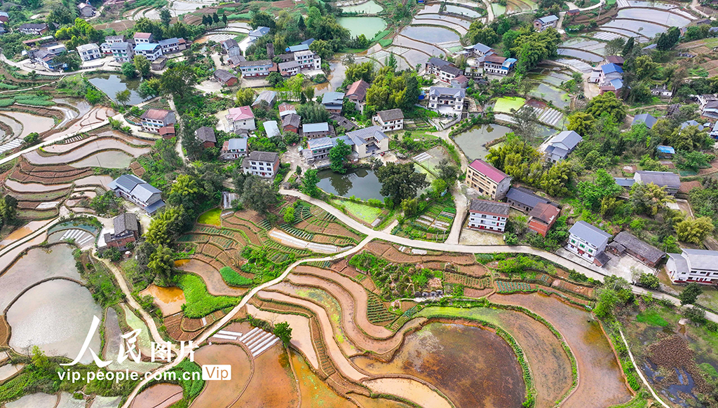 重庆：梯田美如画【6】