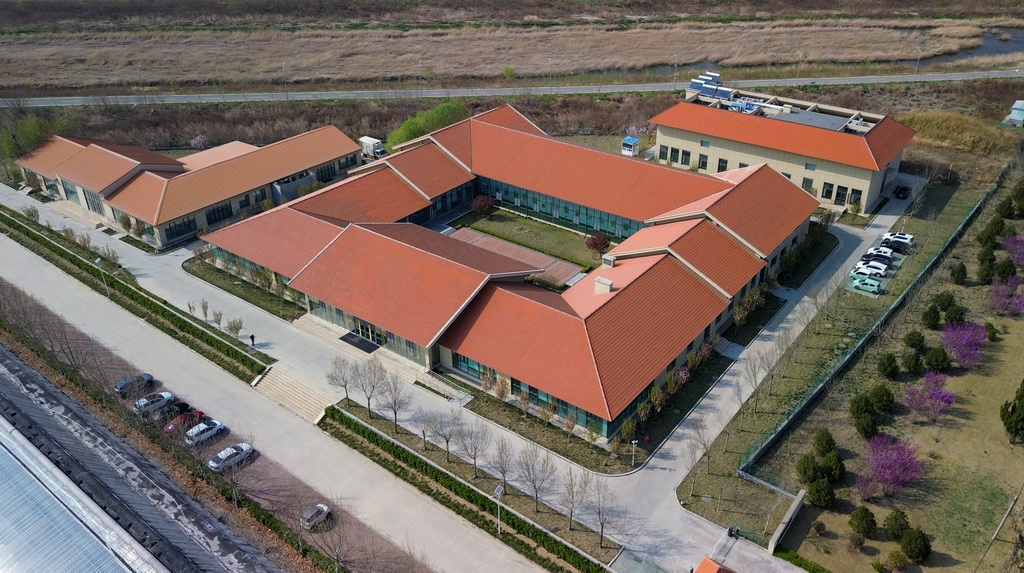 4月1日拍摄的寿光蔬菜种质资源库（无人机照片）。