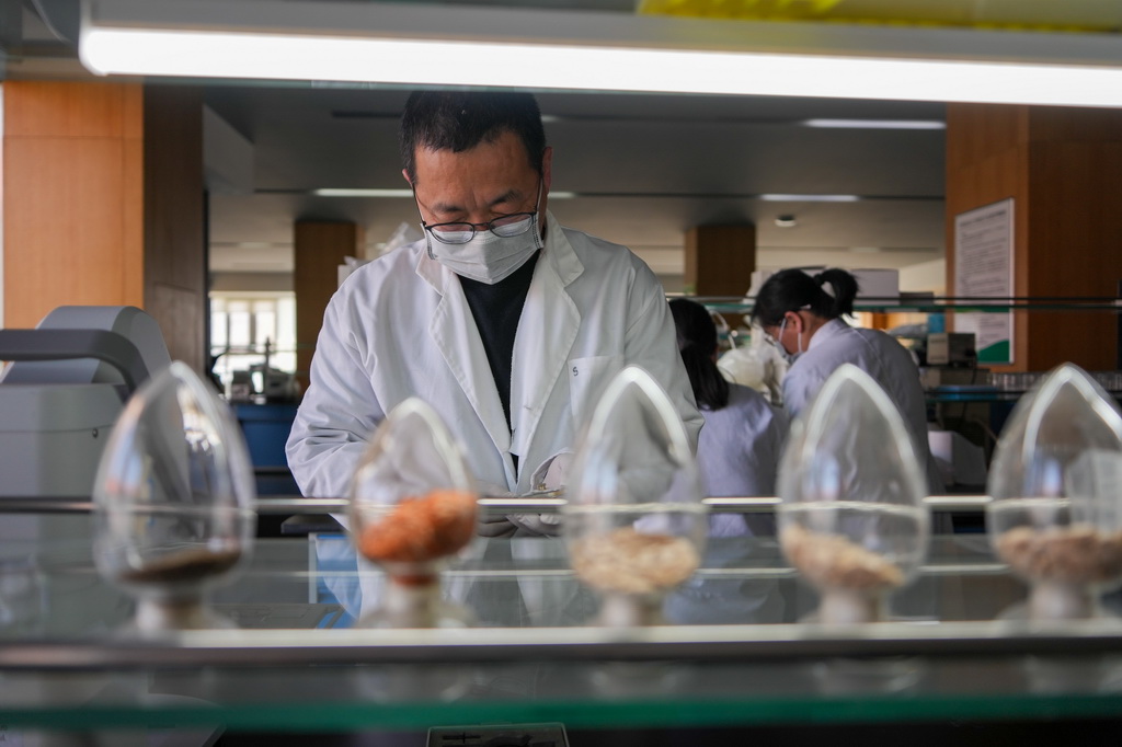 4月1日,寿光蔬菜种质资源库的工作人员在育种实验室工作。