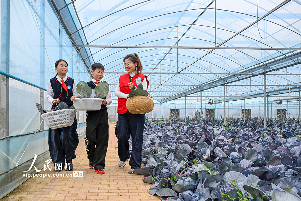 春假助农研学 体验劳动乐趣【2】