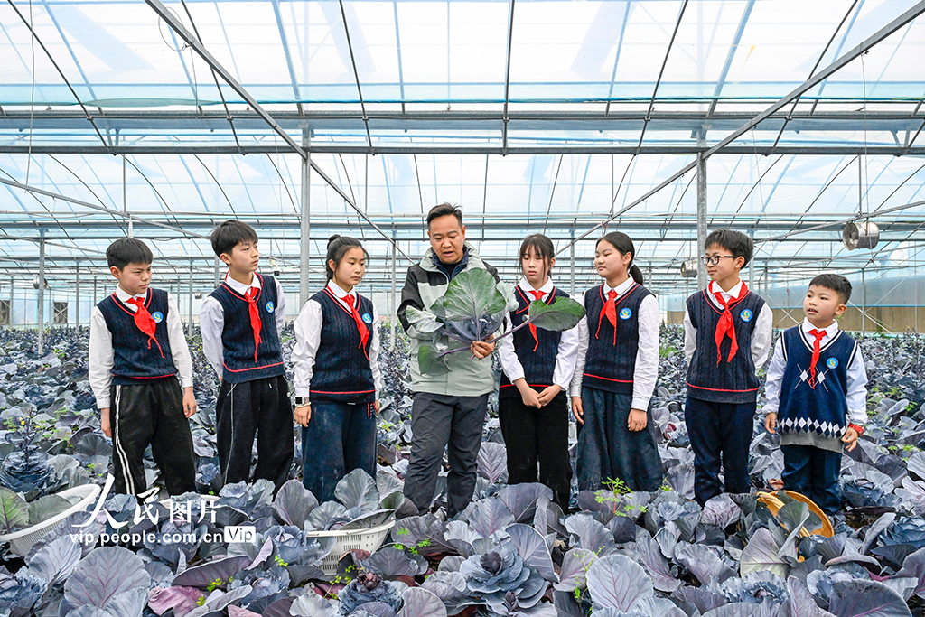 春假助农研学 体验劳动乐趣【4】