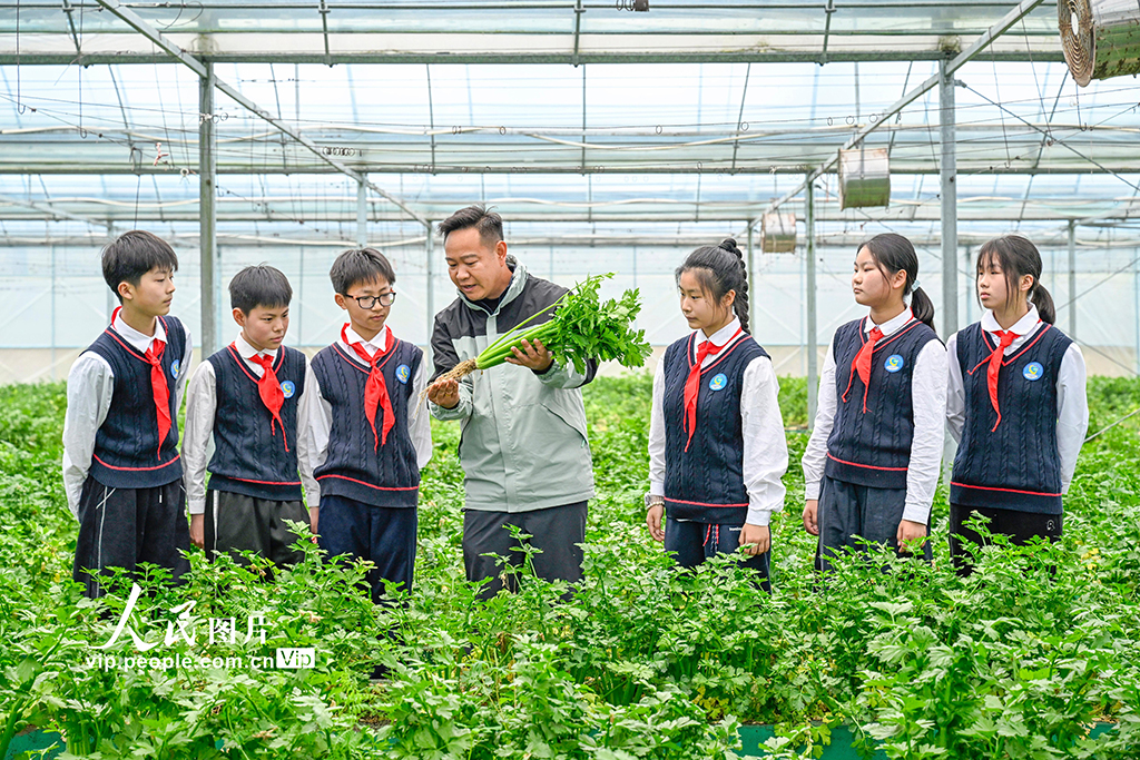 春假助农研学 体验劳动乐趣【5】