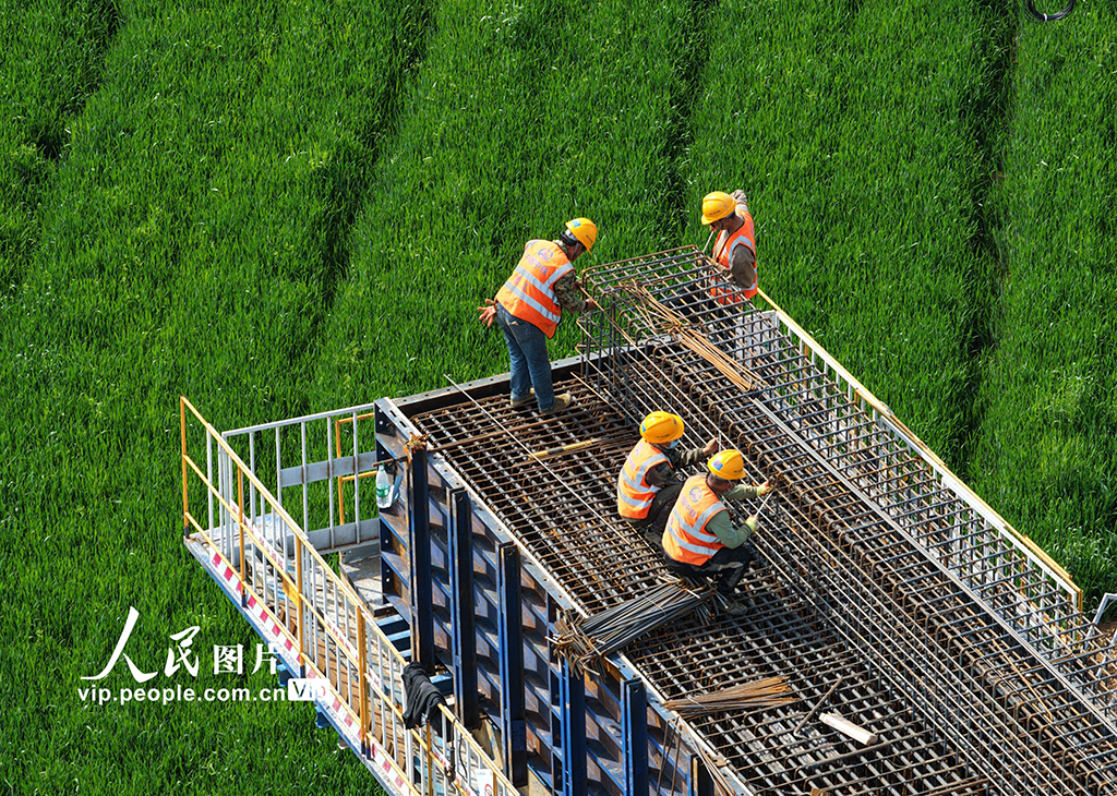 湖北襄阳：襄新高速公路建设正酣【3】