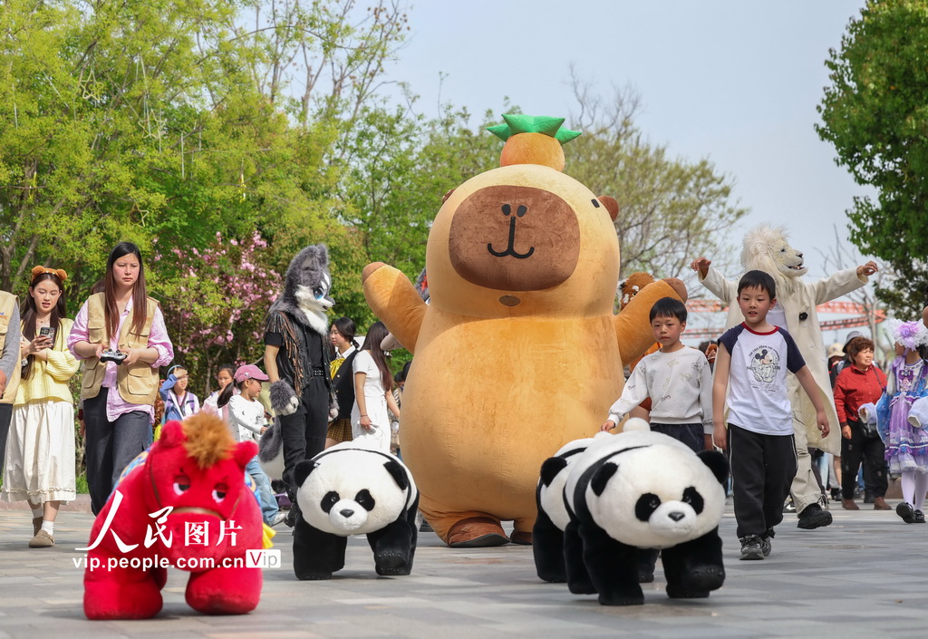 湖北襄阳：乐享清明小长假【2】