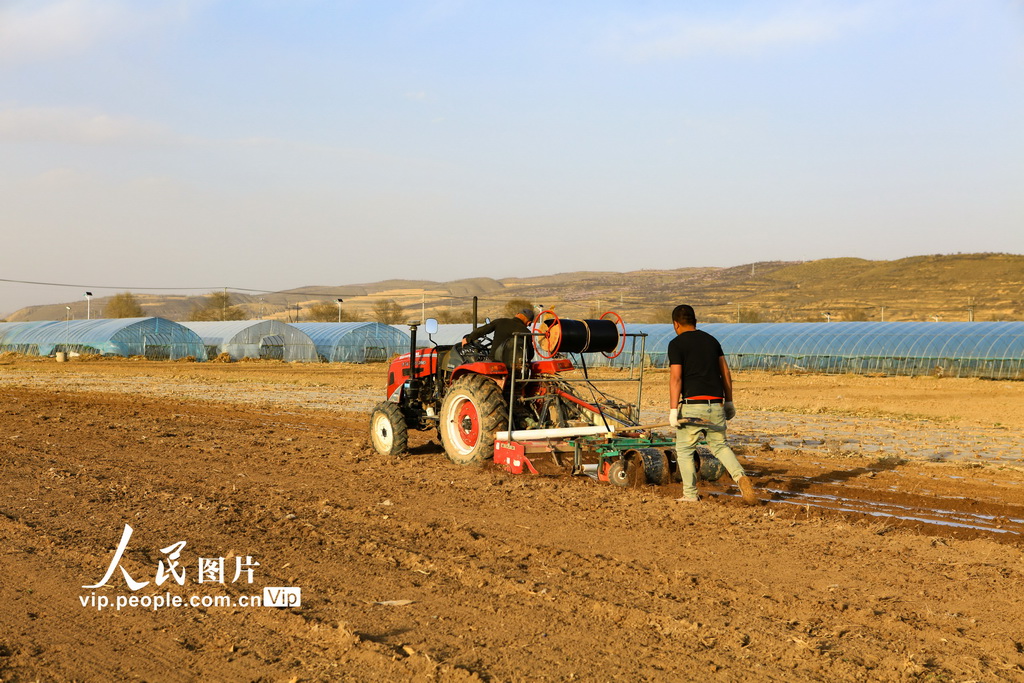 宁夏西吉：旋耕覆膜忙春种【2】