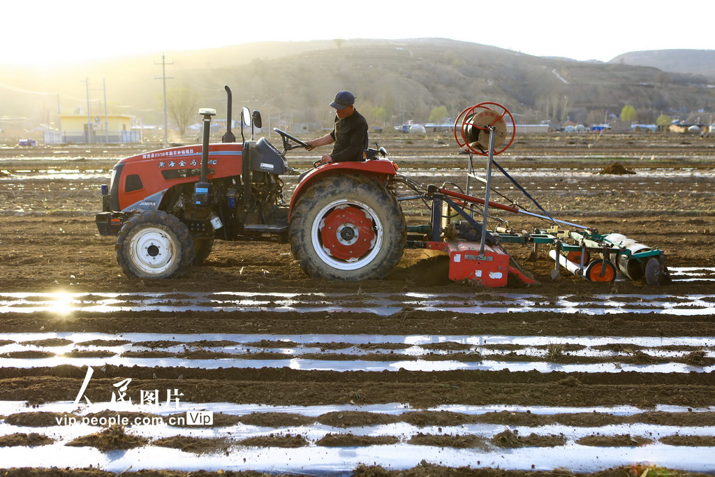 宁夏西吉：旋耕覆膜忙春种【4】