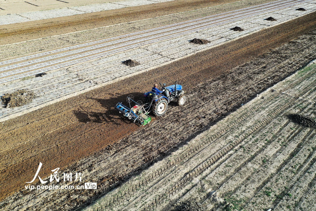 宁夏西吉：旋耕覆膜忙春种【6】