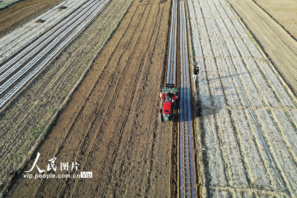 宁夏西吉:旋耕覆膜忙春种【7】