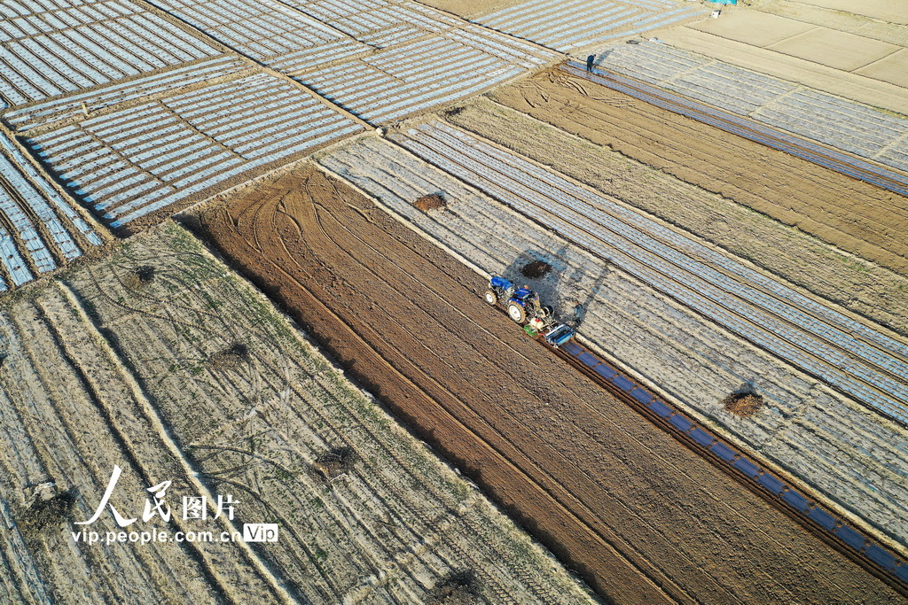 宁夏西吉：旋耕覆膜忙春种【8】