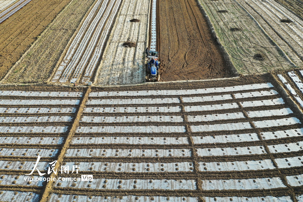 宁夏西吉:旋耕覆膜忙春种【9】