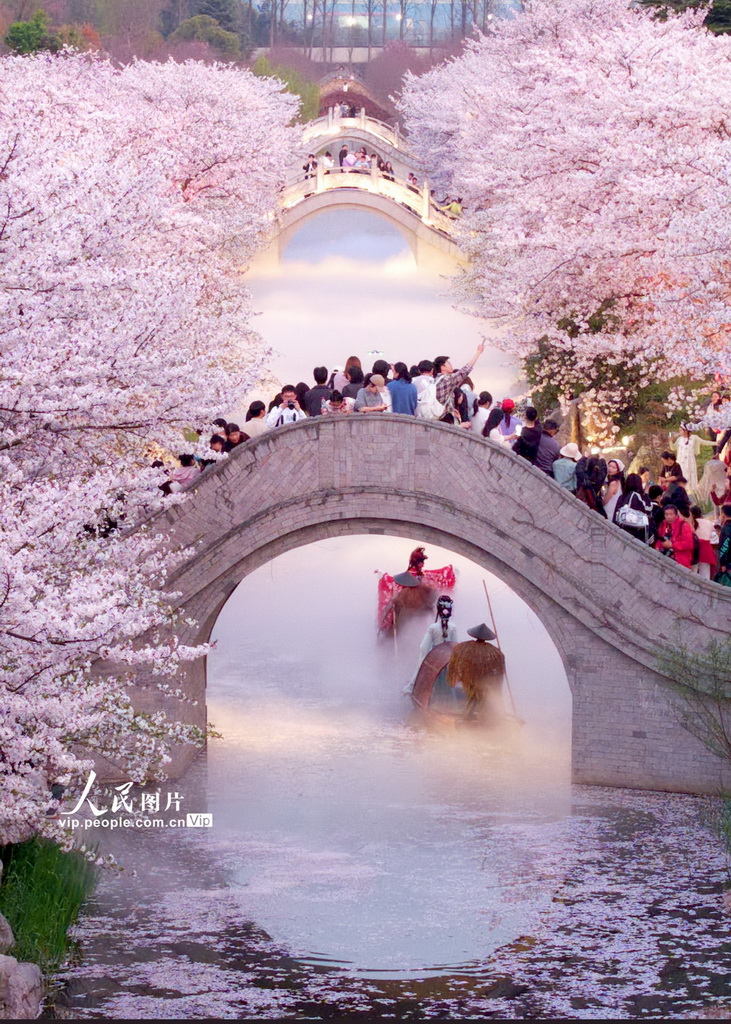 江苏南通：梦幻岛夜色美【2】