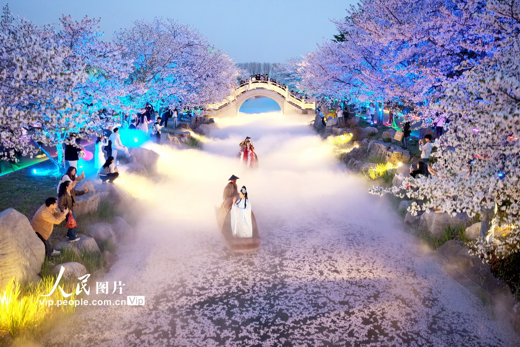 江苏南通：梦幻岛夜色美【3】