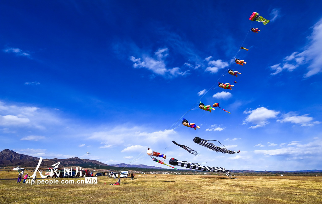 2026年4月5日，风筝爱好者在呼和浩特敕勒川草原放飞大型软体风筝。