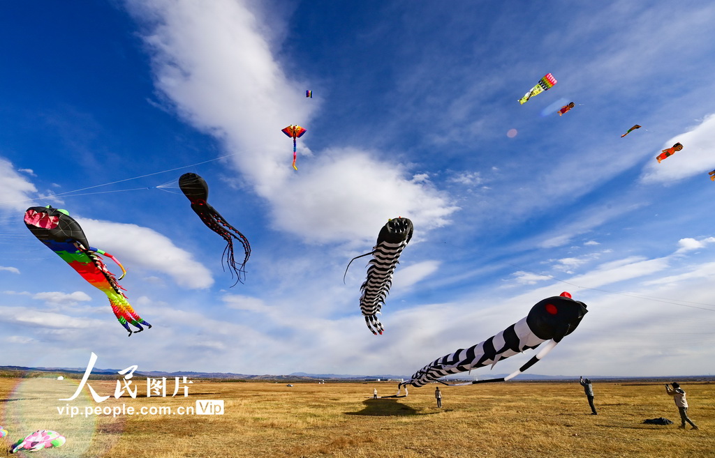 2026年4月5日，风筝爱好者在呼和浩特敕勒川草原放飞大型软体风筝。