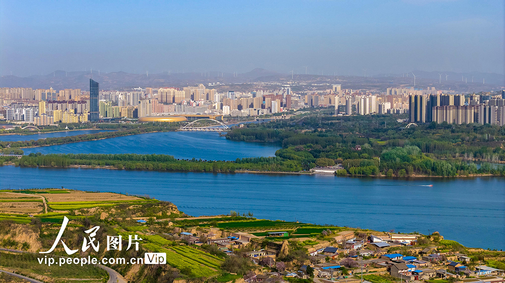 河南三门峡：春染黄河岸【2】