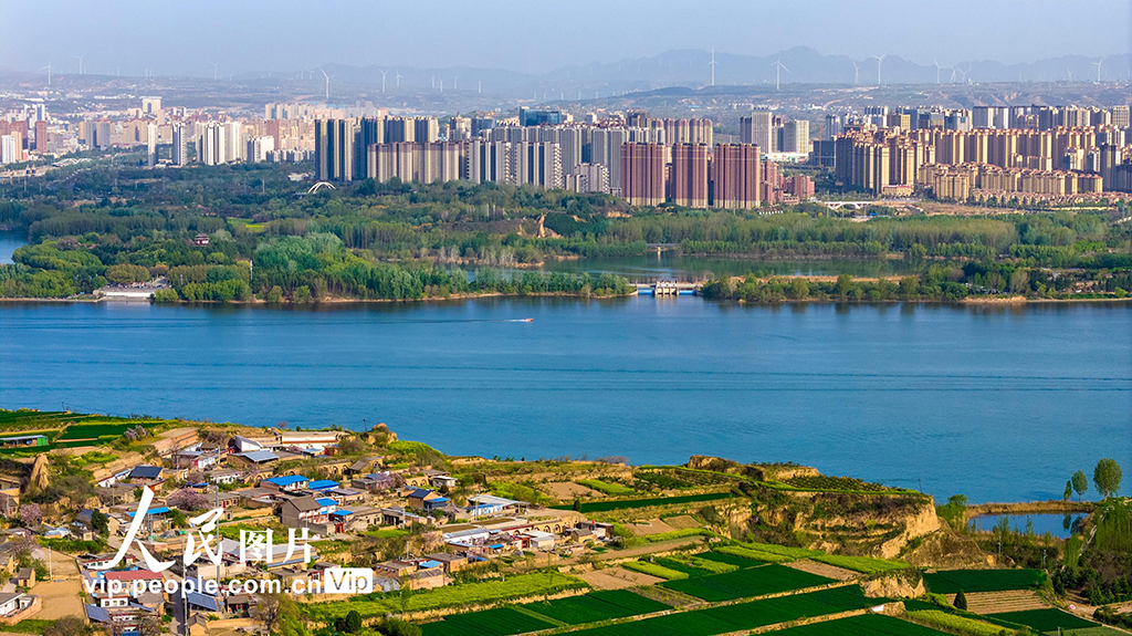 河南三门峡：春染黄河岸【3】