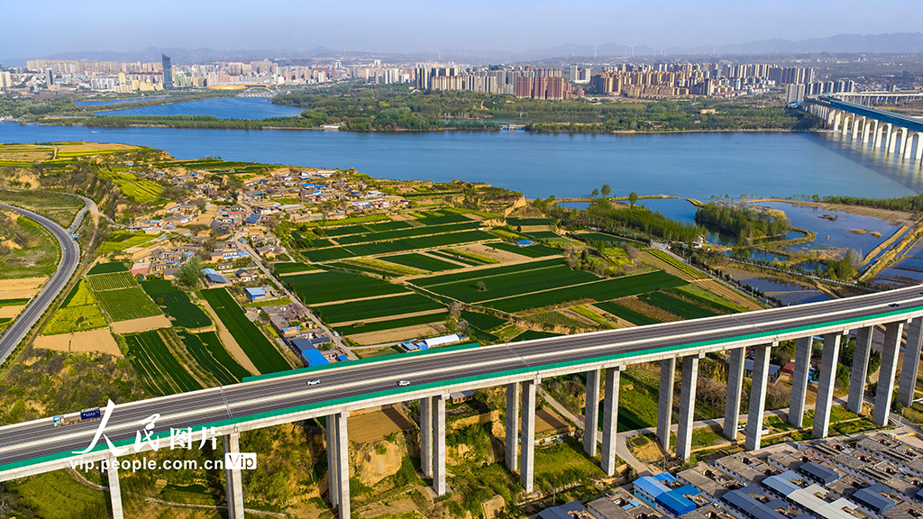 河南三门峡：春染黄河岸【4】