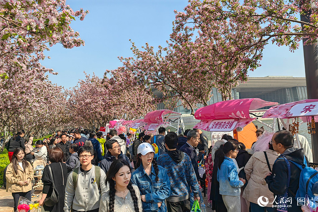2026年4月4日,游客在天津文化中心海棠大道赏花踏春。人民网记者 崔新耀摄