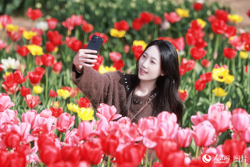 2026年3月28日,春光明媚,不少市民游客来到合肥植物园踏青赏花。人民网记者 王晓飞摄