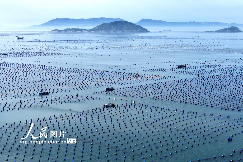 福建连江：碧波耕耘【3】