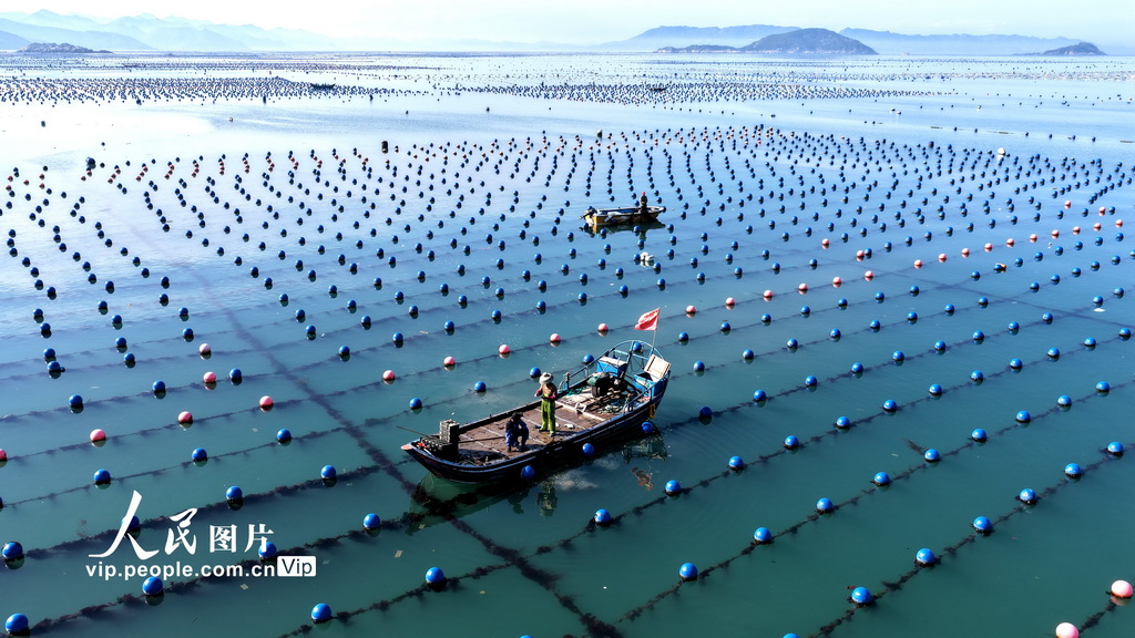 福建连江：碧波耕耘【4】