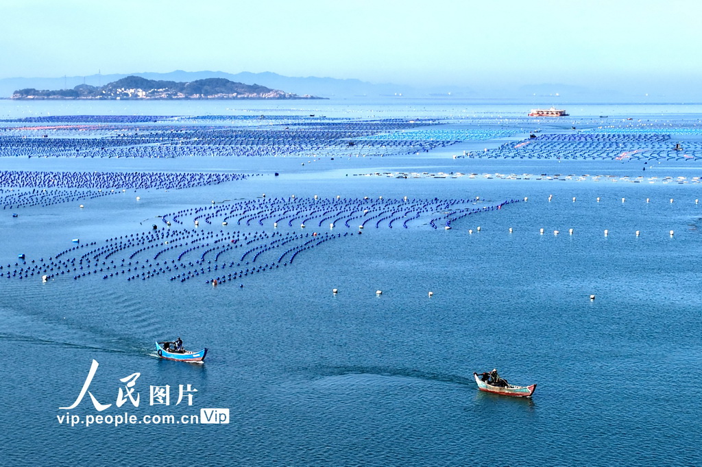 福建连江：碧波耕耘【6】