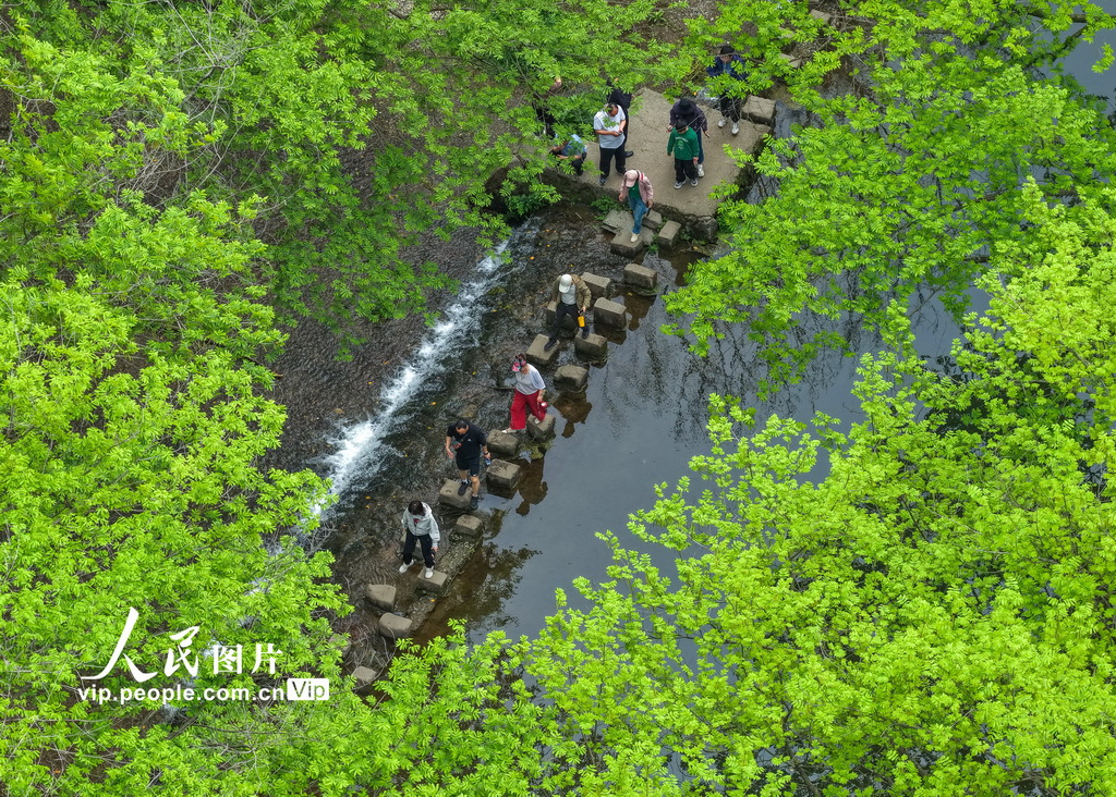 安徽黄山：春风又绿西溪南【4】