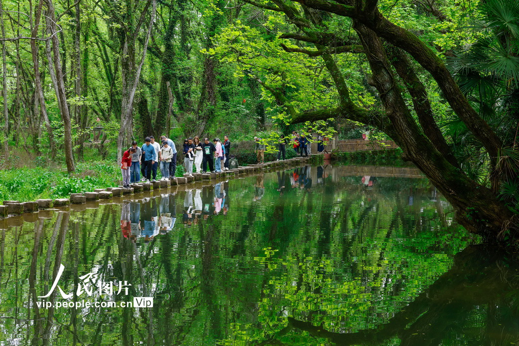 安徽黄山：春风又绿西溪南【6】