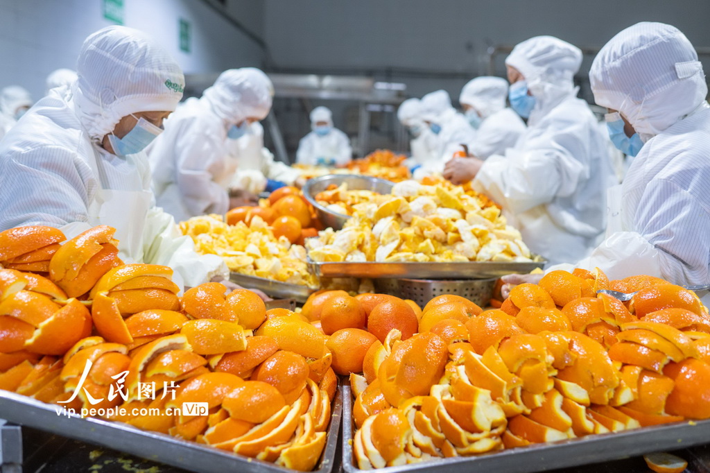 湖北秭归:橙皮深加工 助果农增收【2】