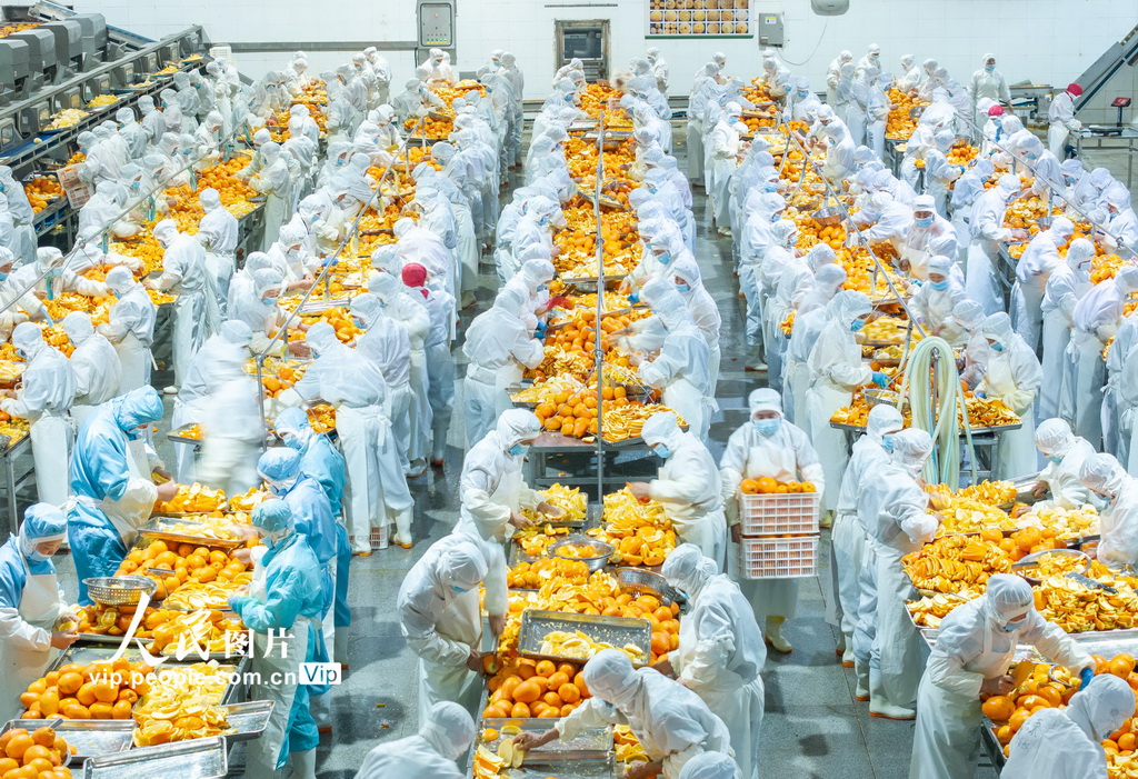 湖北秭归：橙皮深加工 助果农增收【5】