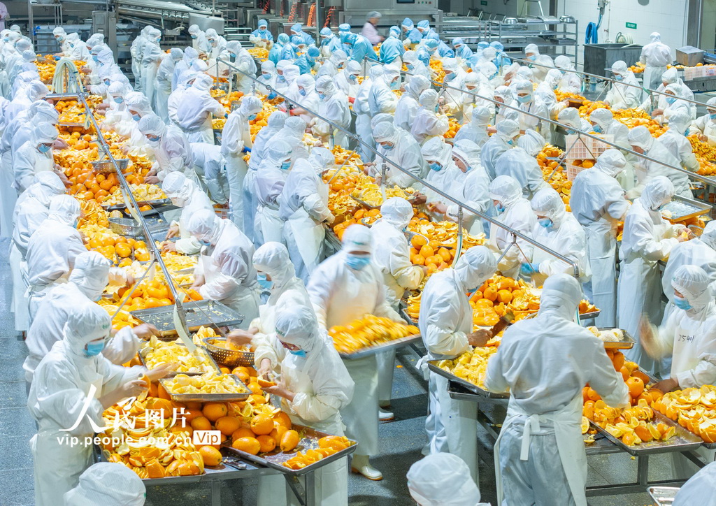 湖北秭归：橙皮深加工 助果农增收【6】