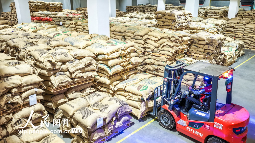 安徽当涂：海外咖啡豆入仓【3】