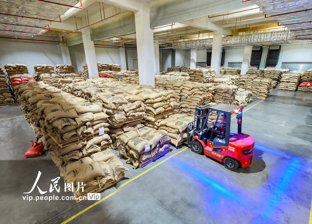 安徽当涂：海外咖啡豆入仓【4】