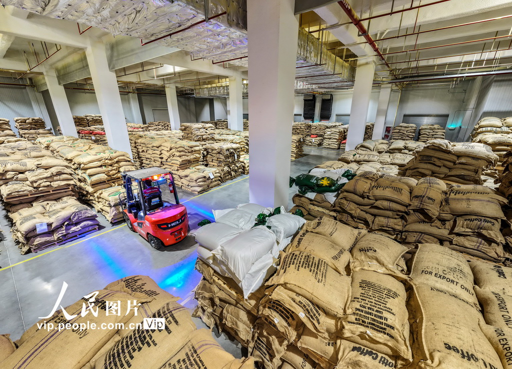 安徽当涂：海外咖啡豆入仓【5】