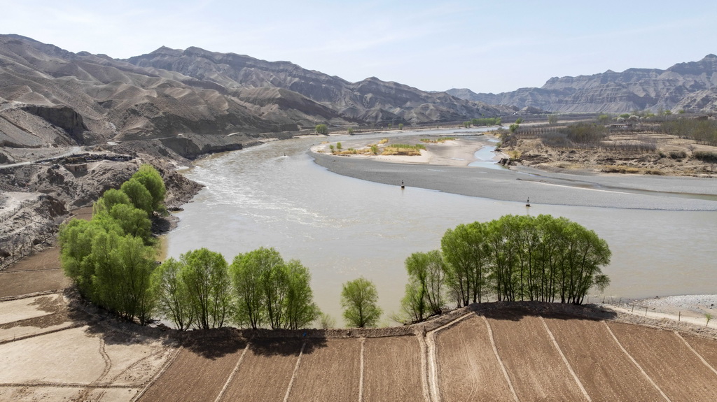 这是4月6日拍摄的南长滩村，岸边绿色初现（无人机照片）。