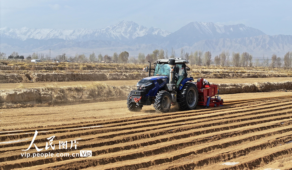 甘肃民乐：播种马铃薯【4】