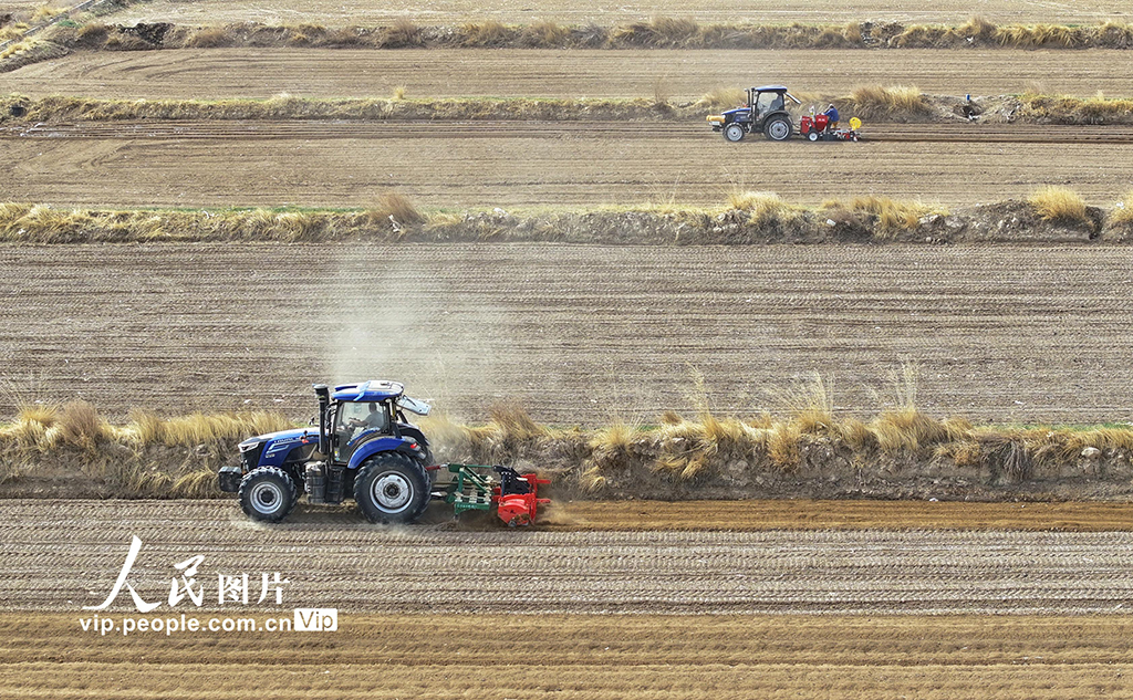 甘肃民乐：播种马铃薯【6】