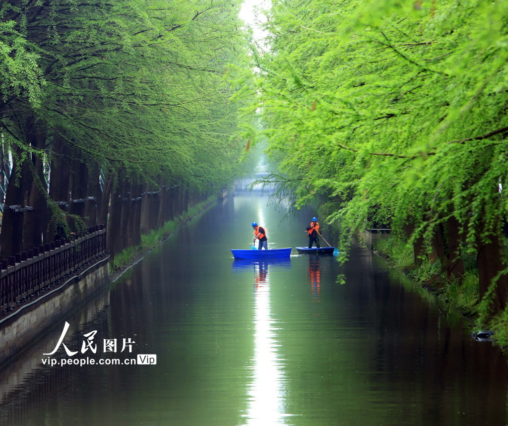 浙江台州：巡河保洁守护水生态【3】