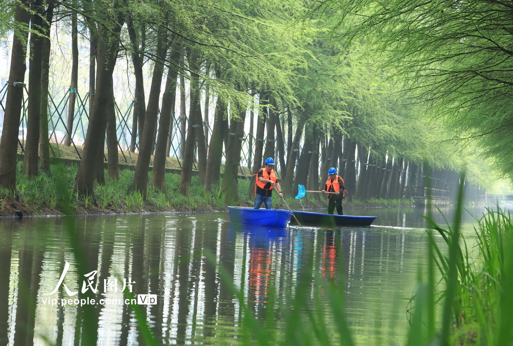 浙江台州：巡河保洁守护水生态【2】
