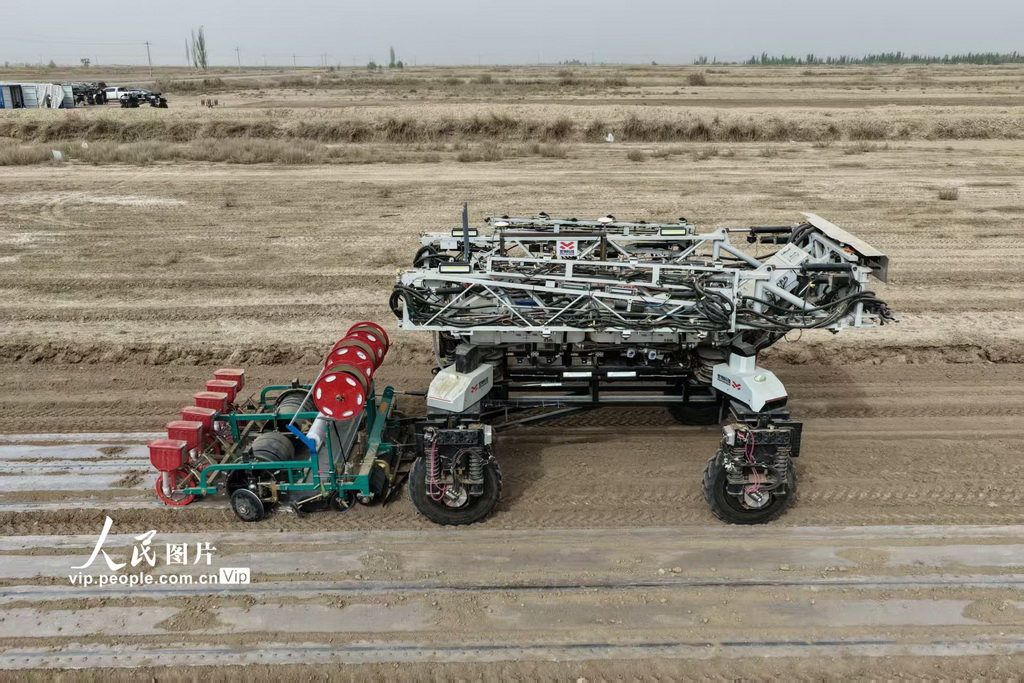 新疆阿拉尔：“机器人”播种棉花【3】