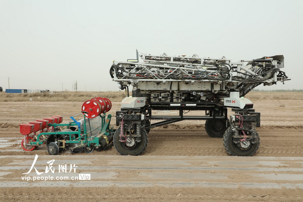 新疆阿拉尔：“机器人”播种棉花【4】