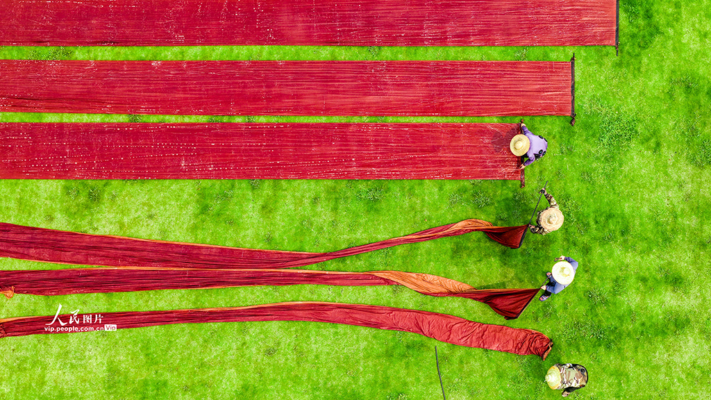 广西梧州:晾晒香云纱【5】