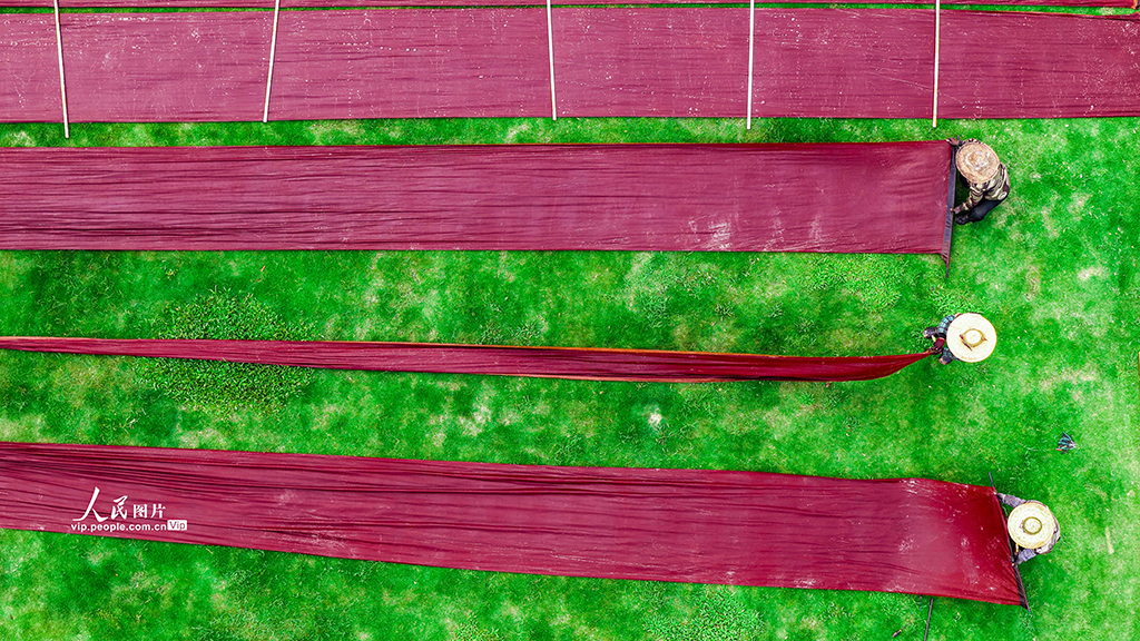 广西梧州：晾晒香云纱【7】