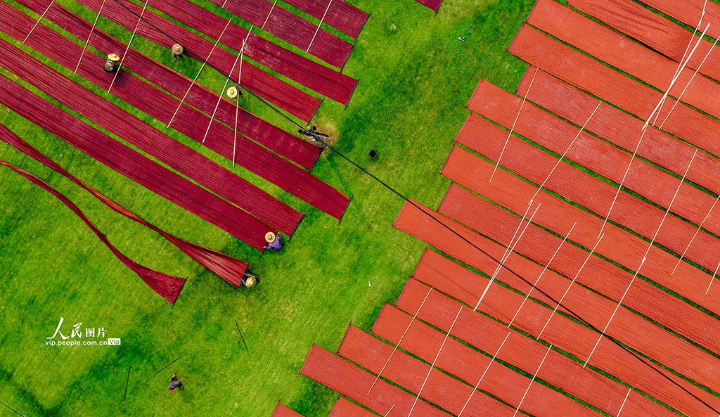 广西梧州：晾晒香云纱【3】