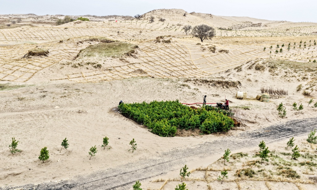 4月19日，治沙工人们在束力古台防沙治沙项目区植树（无人机照片）。