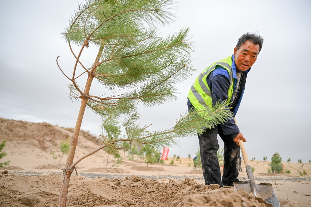 4月19日，治沙工人在束力古台防沙治沙项目区植树。