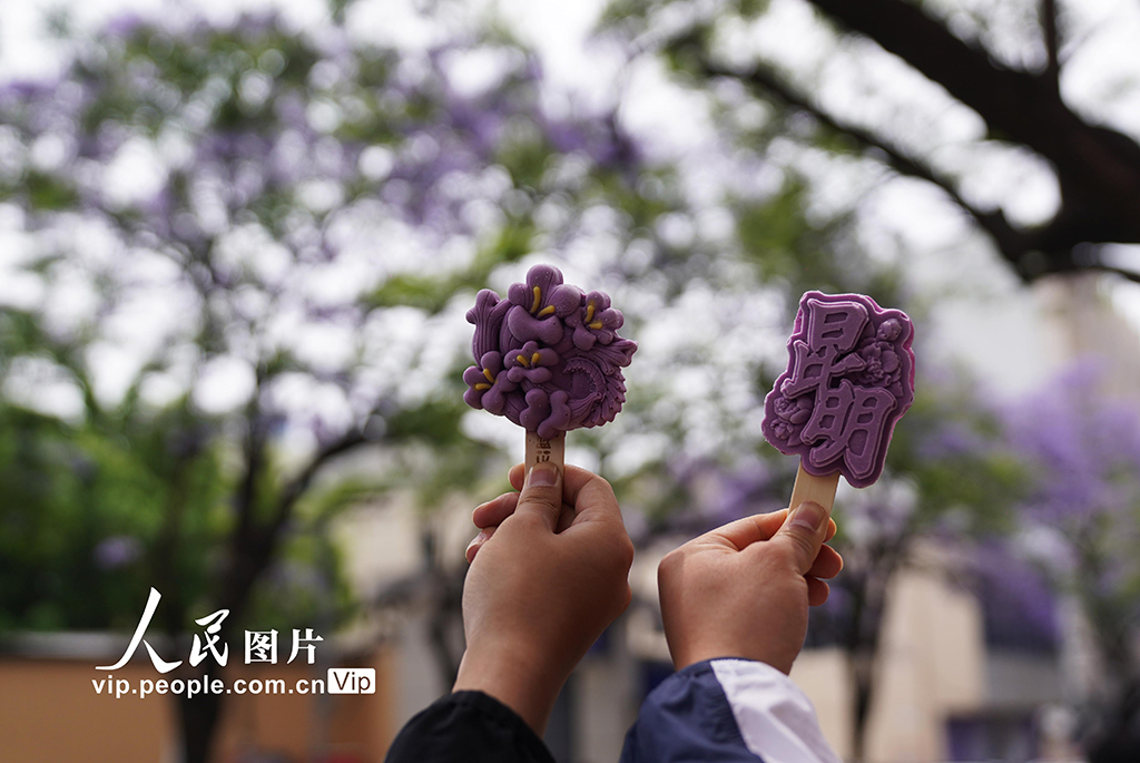 云南昆明：蓝花楹盛放扮靓城市【2】