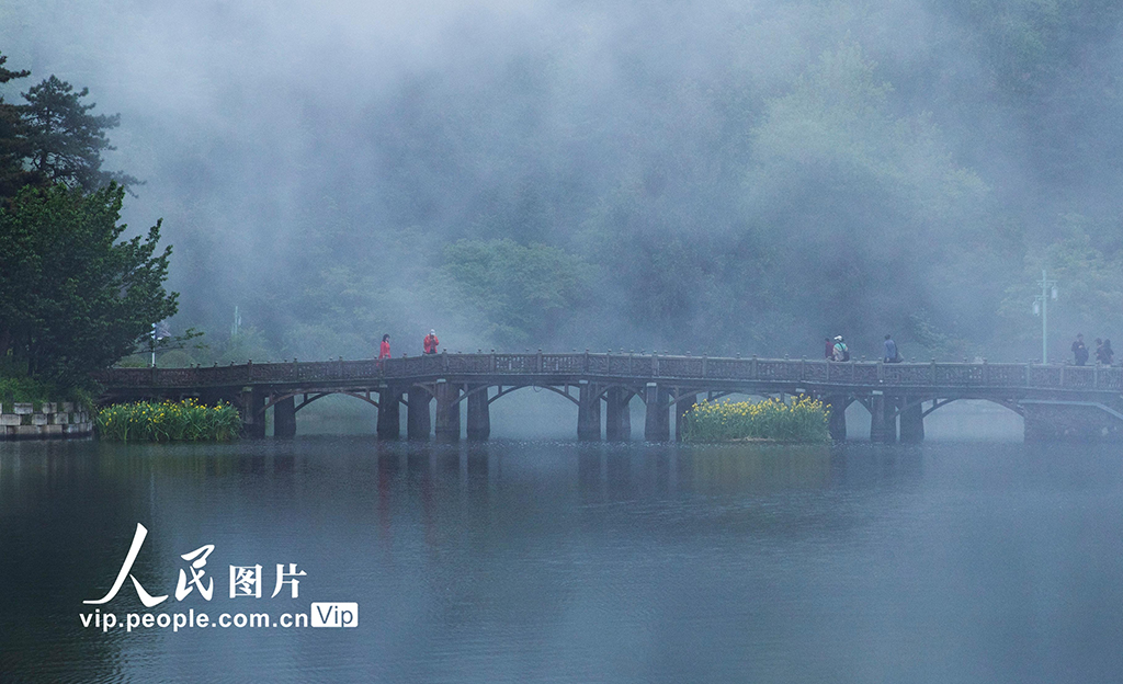 江西庐山：云海景观美如画【3】