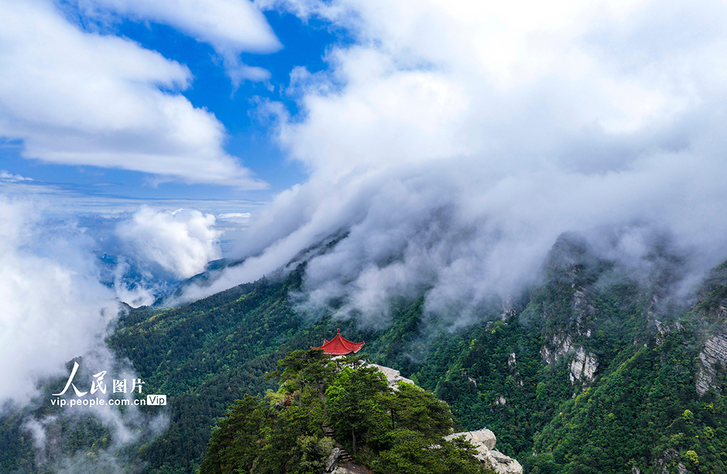 江西庐山：云海景观美如画【6】